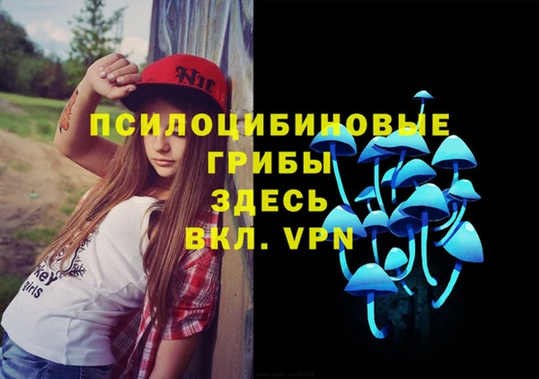 PSILOCYBIN Инта