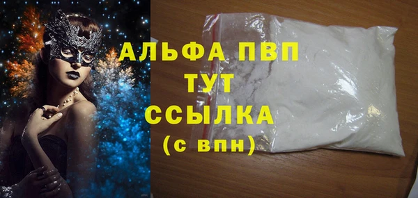 PSILOCYBIN Инта