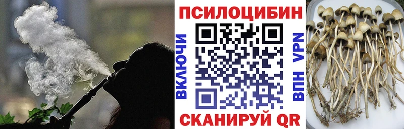 Псилоцибиновые грибы MAGIC MUSHROOMS  Купить  Гай 