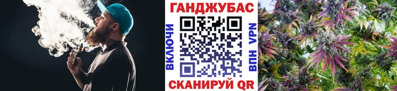 Каннабис Amnesia Гай
